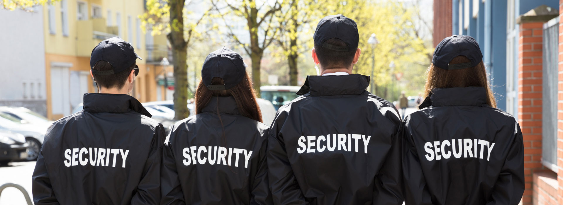 Security and Door Supervision, Lion & Dragon Security