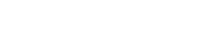 Security and Door Supervision, Lion & Dragon Security